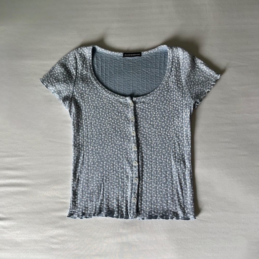 Light Blue Brandy Melville Floral Top